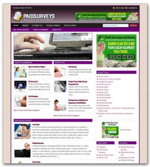 Product picture Online Paid Surveys Niche Blog   ( Private Label Rights )