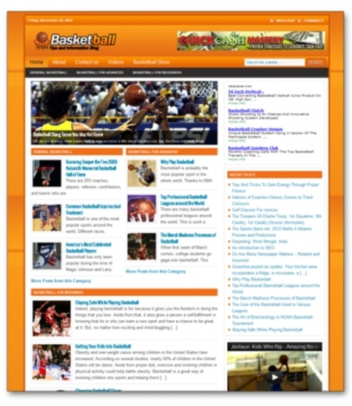 Product picture Basketball Niche Blog   ( Private Label Rights )