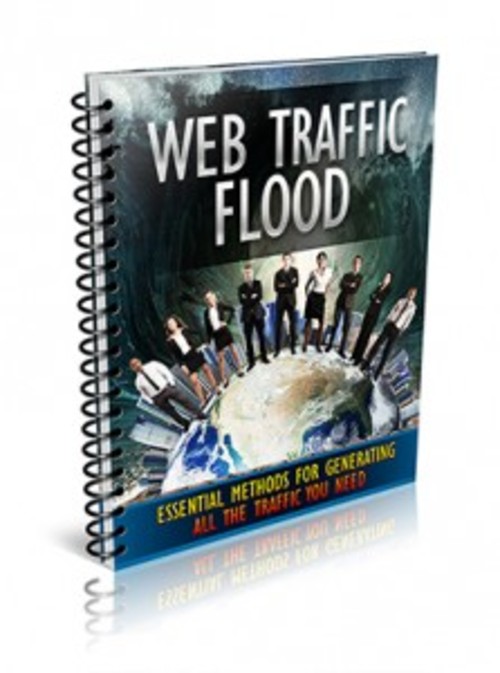 Product picture Web Traffic Flood ( MRR)