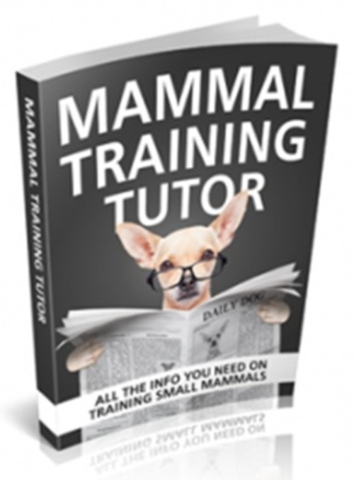 Product picture Mammal Training Tutor  (MRR )