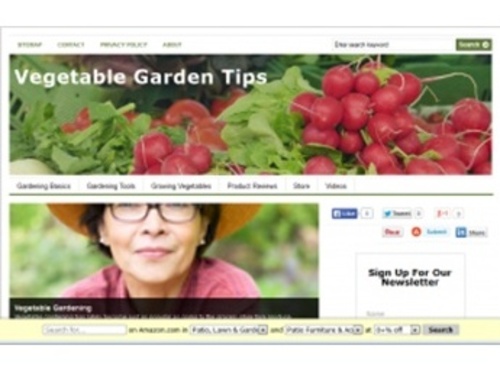 Product picture Vegetable Garden Blog ( PLR)
