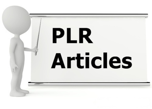 Product picture 25 Understanding Government Articles ( MRR )