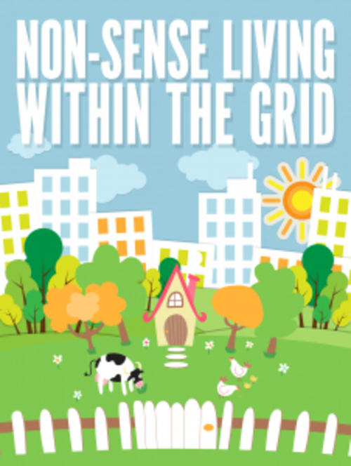 Product picture Non Sense Living Within the Grid ( MRR )
